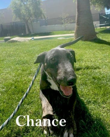 Chance