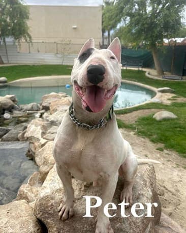Peter